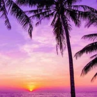 Screechs Tale_Ren (Ren Gill)