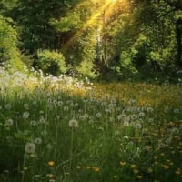 Giant_Matthew Good Band