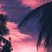 She Wants It_50 Cent