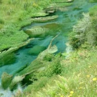 Sarabande In D Minor_George Frideric Handel