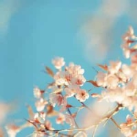 Brain Sweater_Casey Bolles