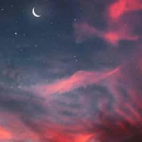 Bumblebee Cemetery_Staple R