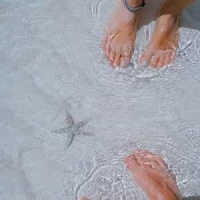 Gavot In A_George Frideric Handel