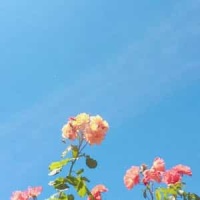Tu Retratito Lo Traigo En Mi Cartera_Magnolia y los No Me Olvides