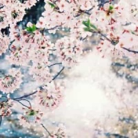 Jounetsu No Bara_The Blue Hearts