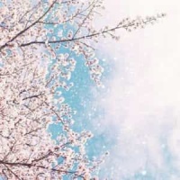 Anything Anything_Dramarama