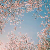 Pictures At An Exhibition - Promenade_Modest Mussorgsky