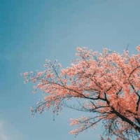 I Think She Knows_John Mayer