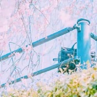 Spin Along_Ken