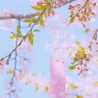 I See Love_Jonas Blue