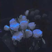 Marry Me_Jam Hsiao (蕭敬騰)