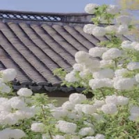 Is It Just Me_Sasha Sloan