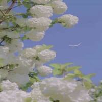 Вальс Шутка_Dmitri Shostakovich