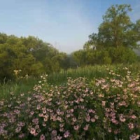 Dear Arkansas Daughter_Lady Lamb (Lady Lamb the Beekeeper)