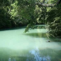 Azul É O Mar_Carlos Bica