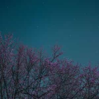 Dadadada Tenshi_Nanawo Akari