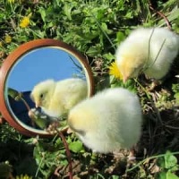 Dreamcatcher_周國賢 (Endy Chow)