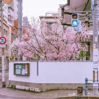 Runick Echoes_Time Walk