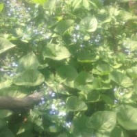 Song Of The Volga Boatmen_Russian Red Army Choir