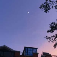 Minuetto From Toccata No 4_Alessandro Scarlatti