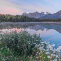 Sarabande In E Minor_George Frideric Handel