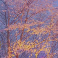 Breathing_Henrik