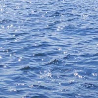 Rusalka Act Ii Part I_Antonín Dvořák