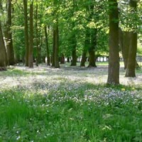 Slam Dunk - Sekai Ga Owaru Made Wa_WANDS