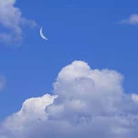 Reality_Lost Frequencies