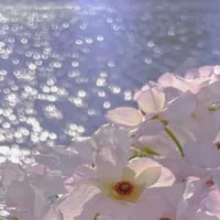 カサブタ_千綿ヒデノリ