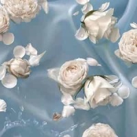 Hi Ren_Ren (Ren Gill)