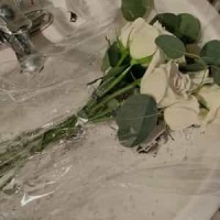 You And Me_Dave Matthews Band