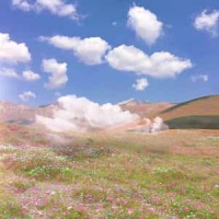 朱花艶閃 Shukaensen_Kiryū (己龍)