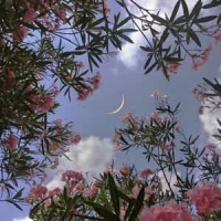 Bellyache_Billie Eilish