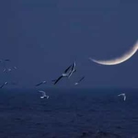 Easy Lover_Martin Miller