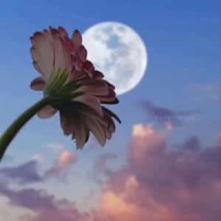 Carmina Burana - Chramer Gip Die Varwe Mir_Carl Orff