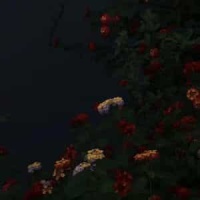 Penthouse Prelude_Richard Bennett