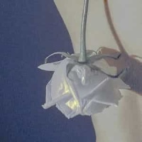 Que Harías Si No Tuvieras Miedo_Magnolia y los No Me Olvides