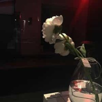 Roses_The Comfort