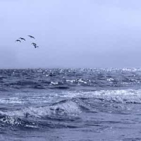 What Will Become Of Me_Dave Matthews