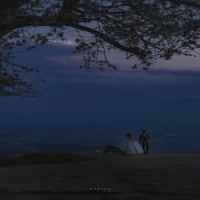 Lovesick_SIAM SHADE