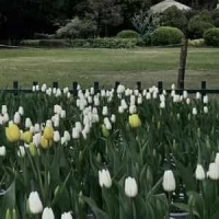 Palladio_Karl Jenkins