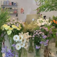 Water Music - Bourrée_George Frideric Handel