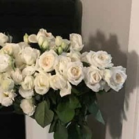 Rhapsody In Blue_George Gershwin