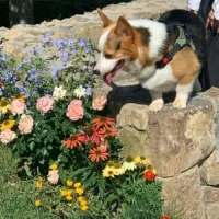 Aire De Vidala_Héctor Ayala