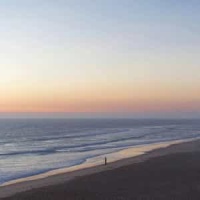 Evol_Adrianne Lenker