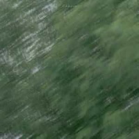 Goodbye Beautiful Day_Aviatic