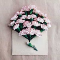 Neghab_Siavash Ghomayshi