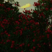 I Cant Make You Love Me_Bon Iver