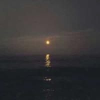 Bajo Un Cielo De Estrellas_Miguel Calo